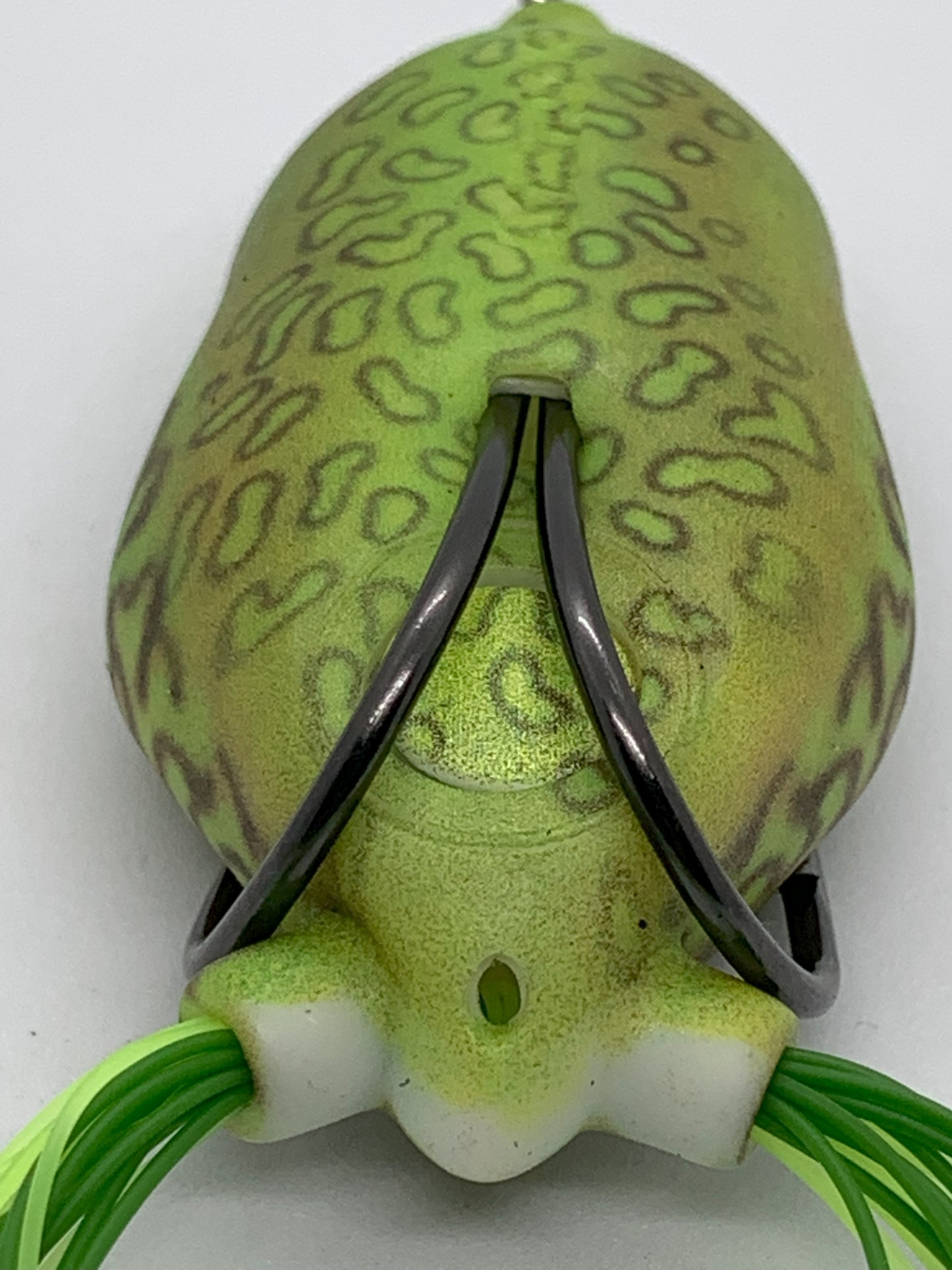 Bobby's Perfect Frog Green Pumpkin